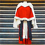 Judicial robe